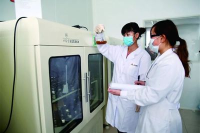 攜手生物技術，引領飼料工業新未來——北京大北農科技集團股份協辦2019中國飼料工業展覽會