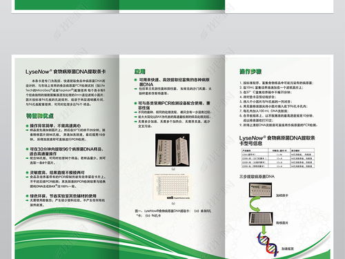 精品綠色能源生物工程科技公司三折頁(yè)設(shè)計(jì)圖片素材 高清PSD模板下載指南